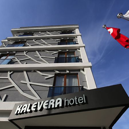 卡勒维拉酒店 埃迪尔内 外观 照片